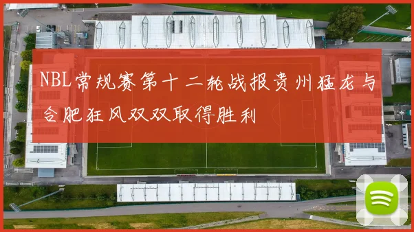 NBL常规赛第十二轮战报贵州猛龙与合肥狂风双双取得胜利